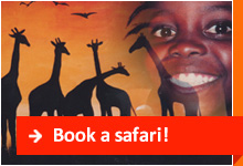 Book a safari!