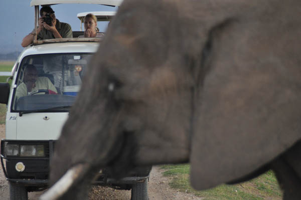 Safari Kenia