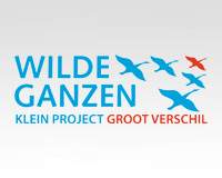 Wilde Ganzen